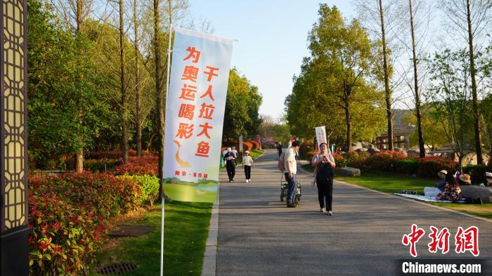 春日南京银杏湖千人拉网捕鱼：文体旅深度融合