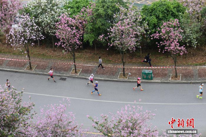 2026柳州马拉松盛大开跑 万名跑者共赴花海赛道