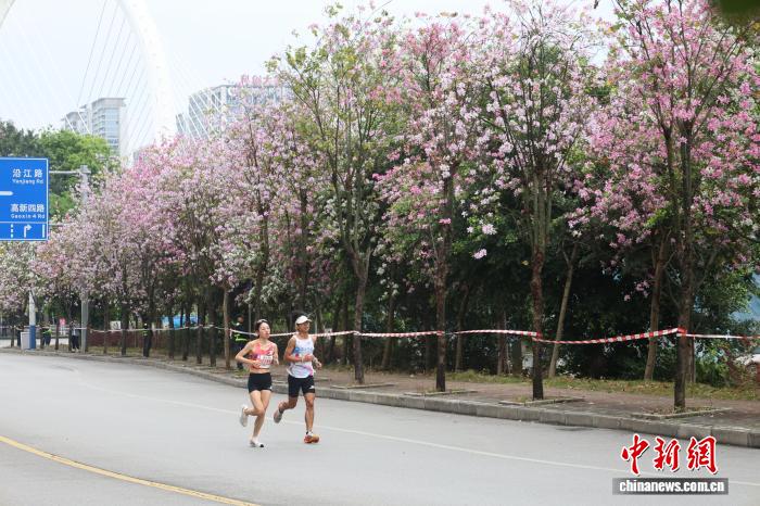 2026柳州马拉松盛大开跑 万名跑者共赴花海赛道